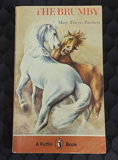 1976 Paperback The Brumby, by Mary Elwyn Patchett